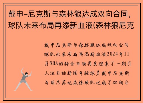 戴申-尼克斯与森林狼达成双向合同,球队未来布局再添新血液(森林狼尼克斯常规赛视频)