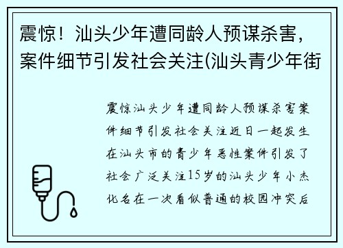 震惊!汕头少年遭同龄人预谋杀害,案件细节引发社会关注(汕头青少年街头斗殴视频)